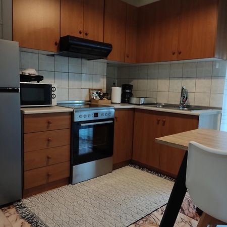 Andreou Apartment Ioánnina Exteriér fotografie